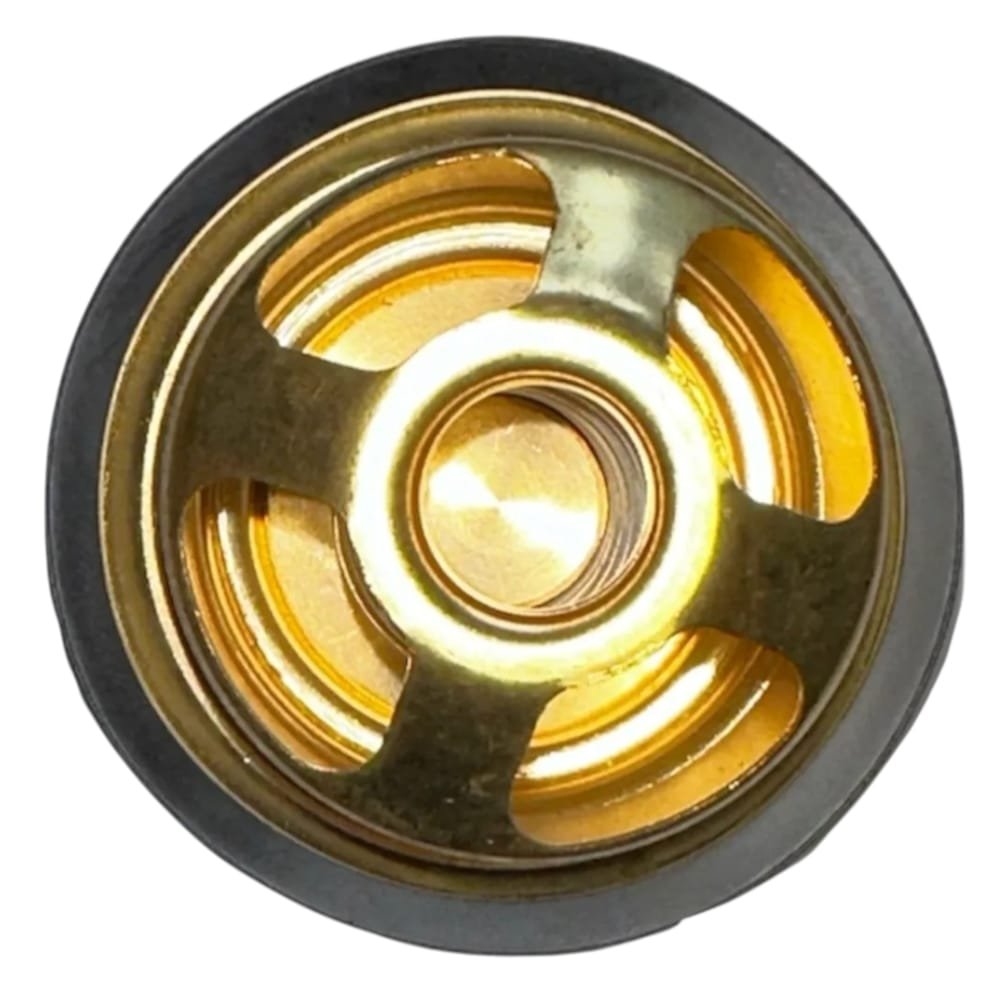 Termostato De 180° Big Cam Iv ( 181842 ) ( 3061649 ) - Imagen 3