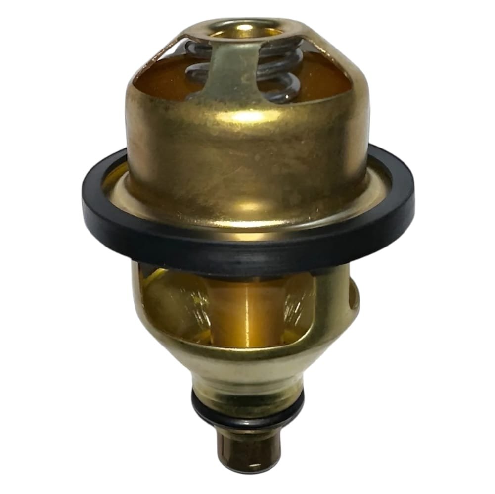 Termostato De 180° Big Cam Iv ( 181842 ) ( 3061649 )